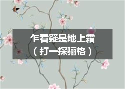 乍看疑是地上霜（打一探骊格）