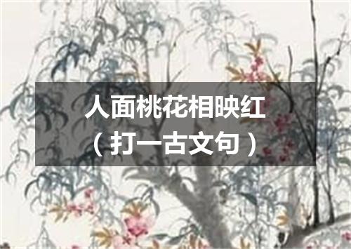 人面桃花相映红（打一古文句）