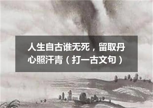人生自古谁无死，留取丹心照汗青（打一古文句）