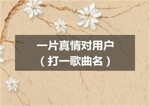 一片真情对用户（打一歌曲名）