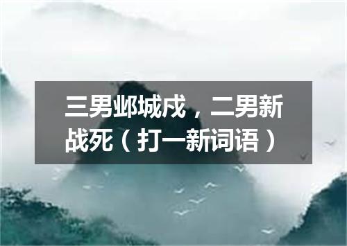 三男邺城戍，二男新战死（打一新词语）