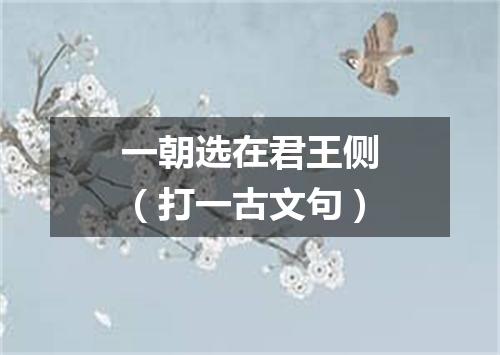 一朝选在君王侧（打一古文句）