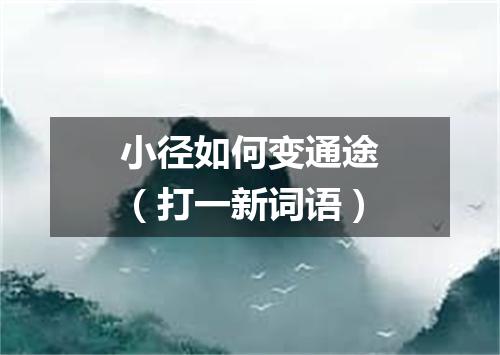 小径如何变通途（打一新词语）