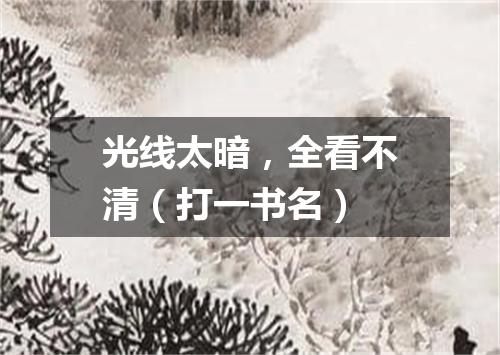 光线太暗，全看不清（打一书名）