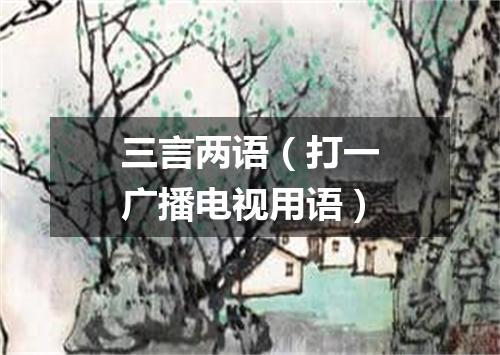 三言两语（打一广播电视用语）