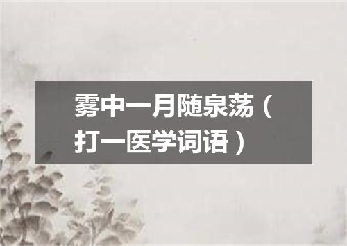 雾中一月随泉荡（打一医学词语）