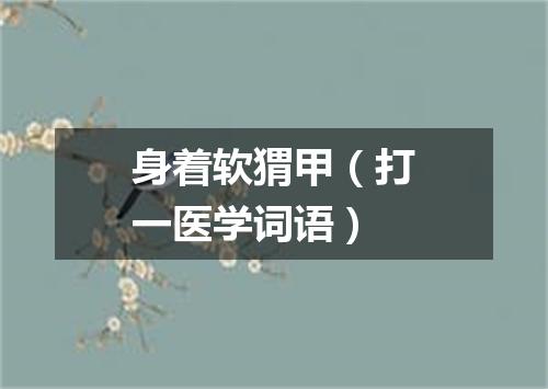 身着软猬甲（打一医学词语）