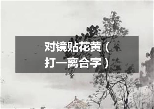 对镜贴花黄（打一离合字）