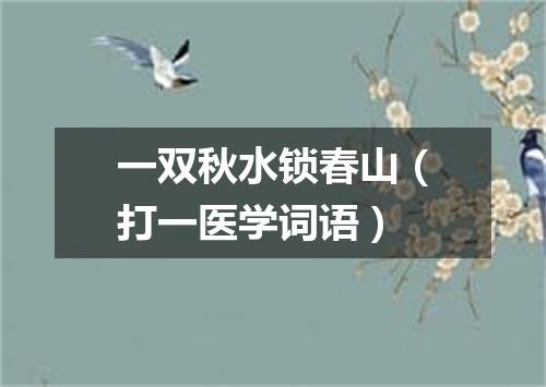 一双秋水锁春山（打一医学词语）