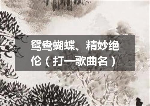 鸳鸯蝴蝶、精妙绝伦（打一歌曲名）