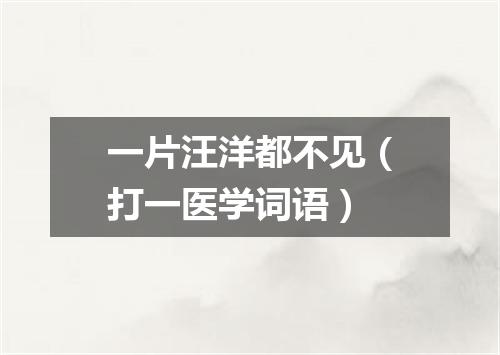 一片汪洋都不见（打一医学词语）