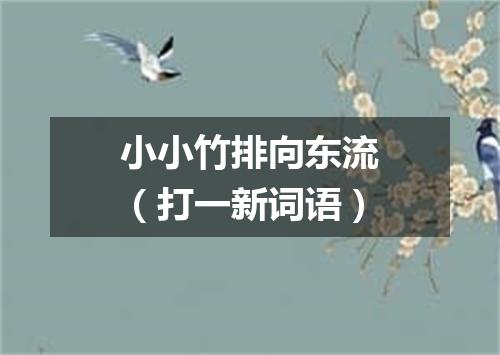 小小竹排向东流（打一新词语）
