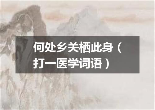 何处乡关栖此身（打一医学词语）