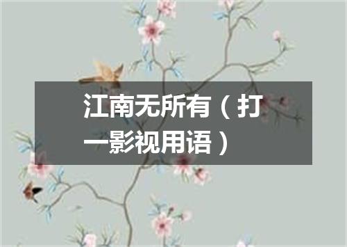 江南无所有（打一影视用语）