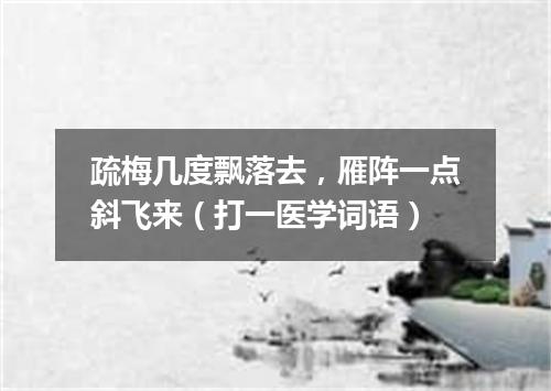 疏梅几度飘落去，雁阵一点斜飞来（打一医学词语）