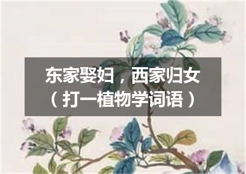 东家娶妇，西家归女（打一植物学词语）