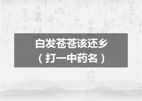 白发苍苍该还乡（打一中药名）