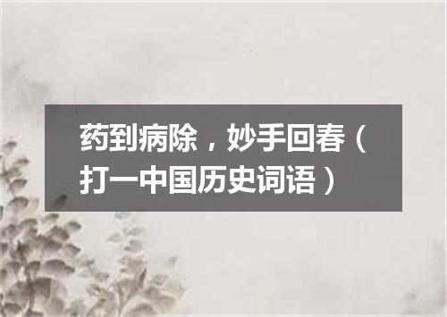 药到病除，妙手回春（打一中国历史词语）