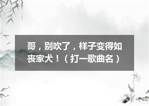 哥，别吹了，样子变得如丧家犬！（打一歌曲名）