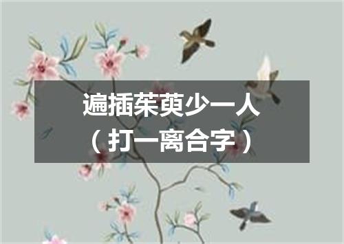 遍插茱萸少一人（打一离合字）