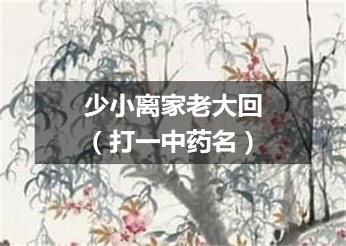 少小离家老大回（打一中药名）