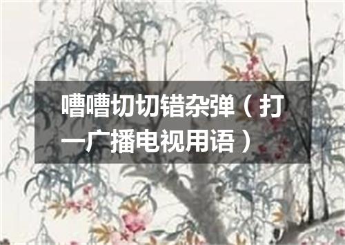 嘈嘈切切错杂弹（打一广播电视用语）