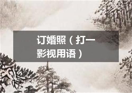 订婚照（打一影视用语）