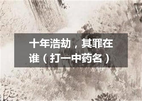 十年浩劫，其罪在谁（打一中药名）