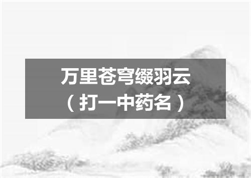 万里苍穹缀羽云（打一中药名）