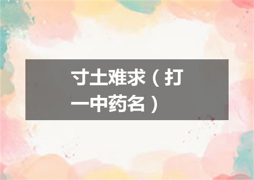 寸土难求（打一中药名）