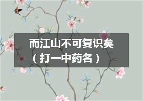 而江山不可复识矣（打一中药名）
