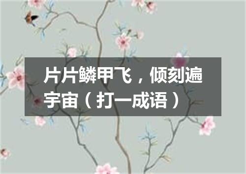 片片鳞甲飞，倾刻遍宇宙（打一成语）