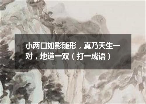 小两口如影随形，真乃天生一对，地造一双（打一成语）