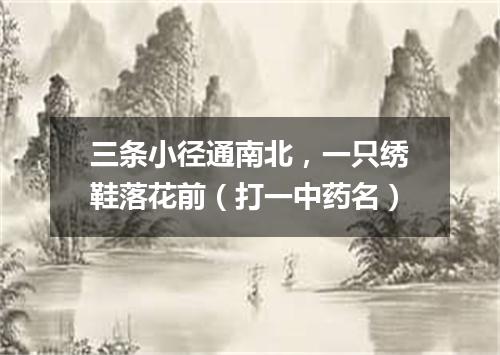 三条小径通南北，一只绣鞋落花前（打一中药名）