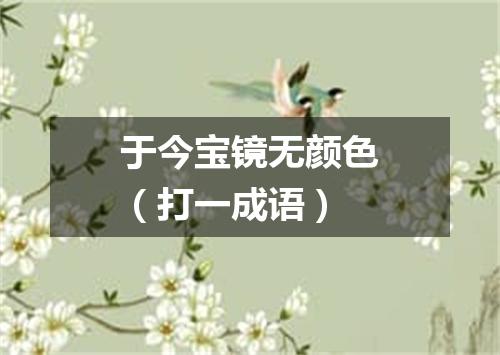 于今宝镜无颜色（打一成语）