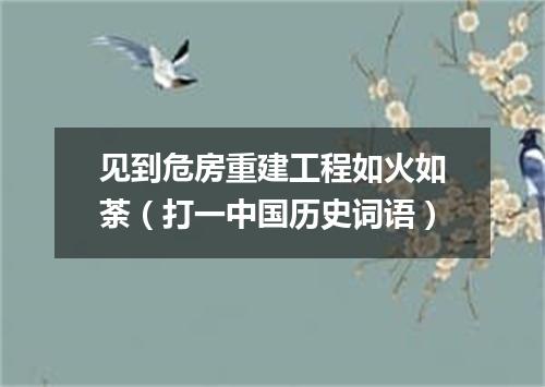 见到危房重建工程如火如荼（打一中国历史词语）