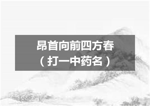 昂首向前四方春（打一中药名）