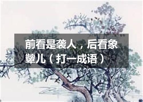前看是袭人，后看象颦儿（打一成语）
