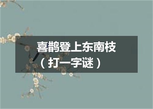 喜鹊登上东南枝（打一字谜）
