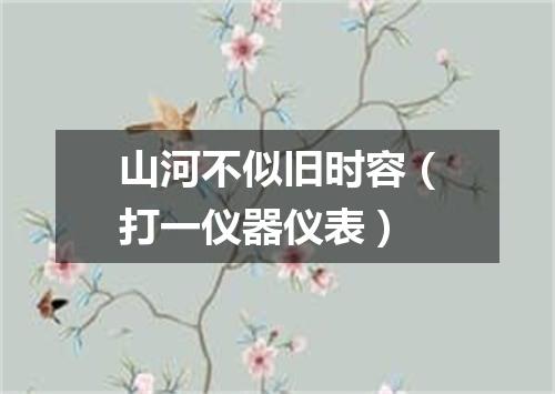 山河不似旧时容（打一仪器仪表）