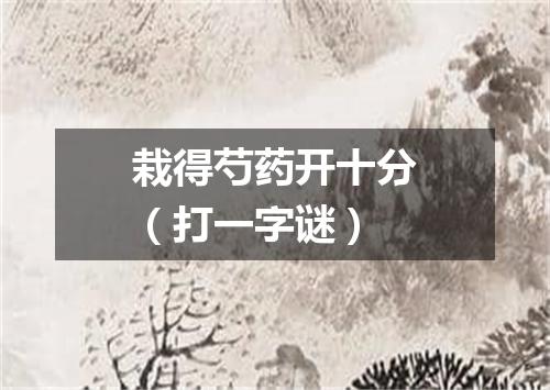 栽得芍药开十分（打一字谜）