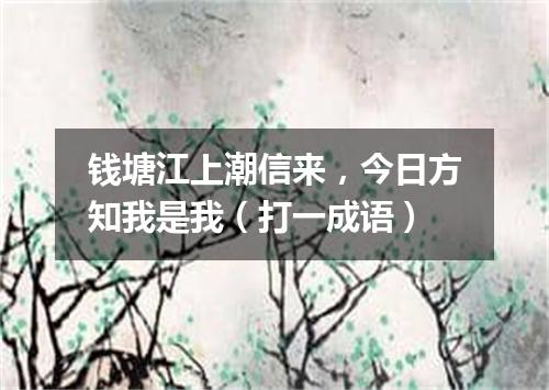 钱塘江上潮信来，今日方知我是我（打一成语）