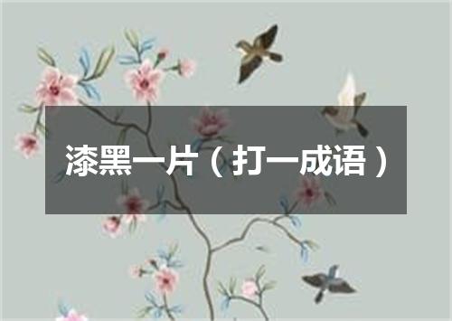 漆黑一片（打一成语）