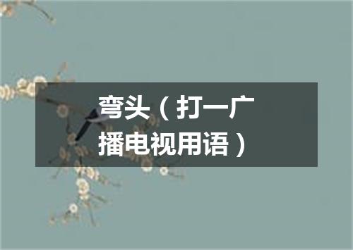 弯头（打一广播电视用语）