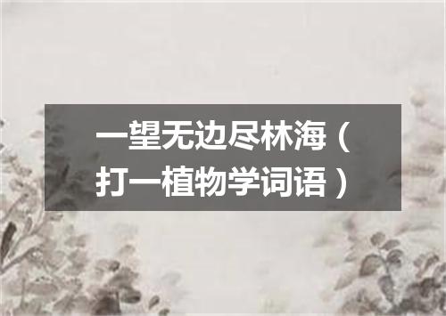 一望无边尽林海（打一植物学词语）