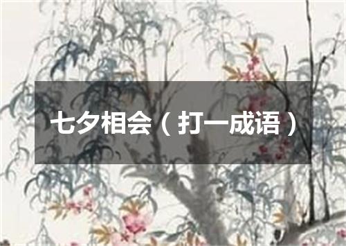 七夕相会（打一成语）
