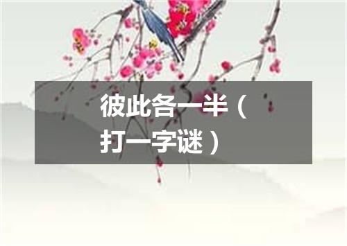 彼此各一半（打一字谜）