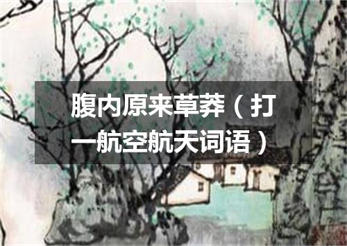 腹内原来草莽（打一航空航天词语）