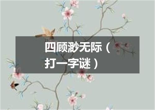 四顾渺无际（打一字谜）