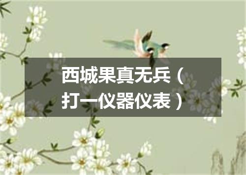 西城果真无兵（打一仪器仪表）